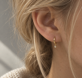 Crystal Drop Earrings - Gold